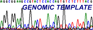 Genomic Template